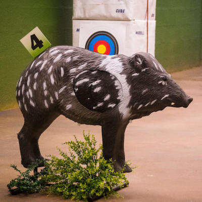 3D Archery Range - 22