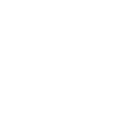 bow-arrow-white