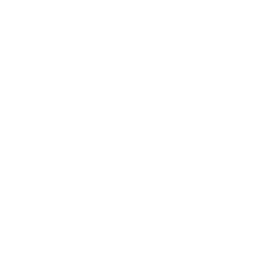 pistol-white